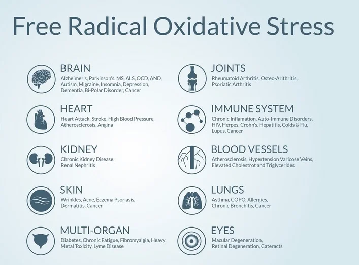 oxidative stress underlying chronic disease