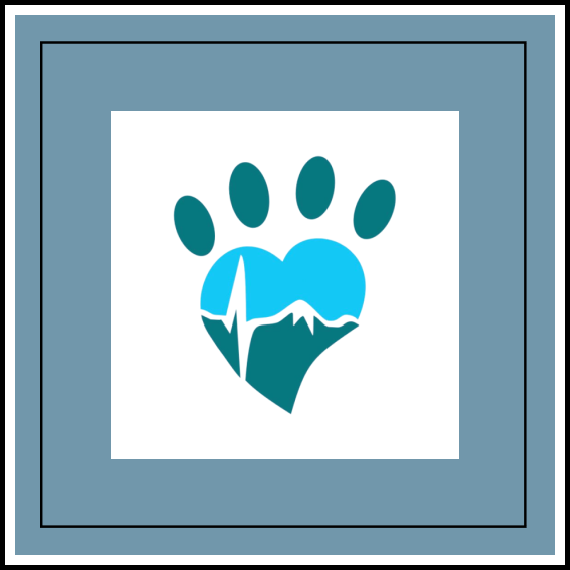 Nakusp Vet Clinic Website Design